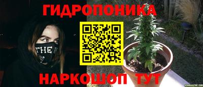 молекула духа Аша