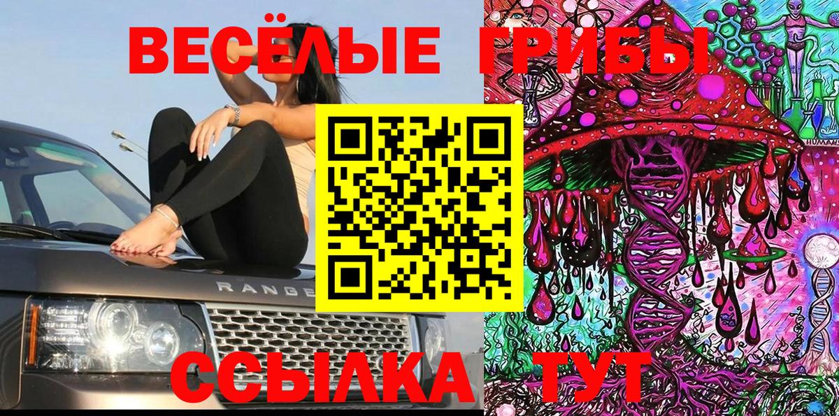 цена   Вход с VPN  Абакан  Галлюциногенные грибы Cubensis 