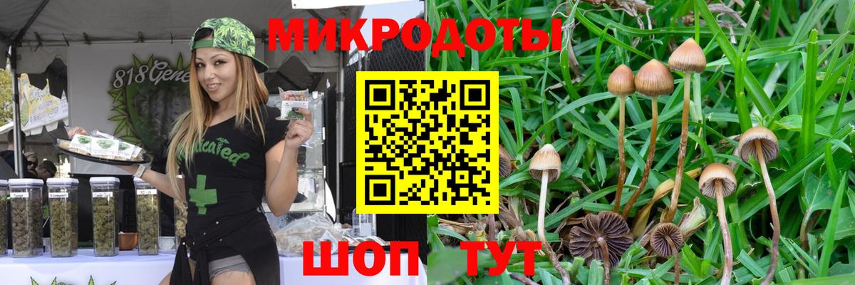 Псилоцибиновые грибы мухоморы Абакан